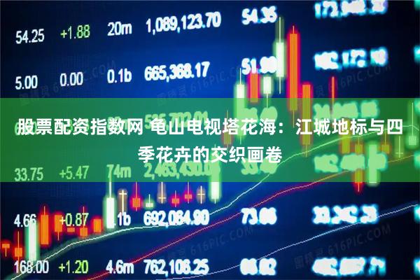 股票配资指数网 龟山电视塔花海：江城地标与四季花卉的交织画卷